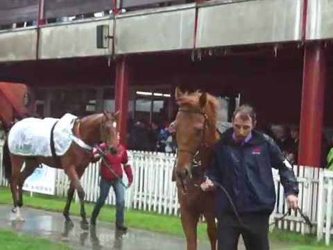 Účastníci 55. VELKÉ DUBNOVÉ CENY FACTORINGU ČS-paddock