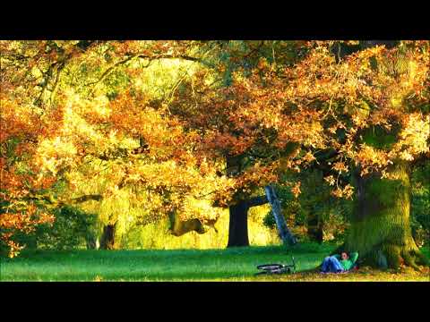 Stasher i Flavis - Na wyjebce