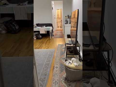 video 1