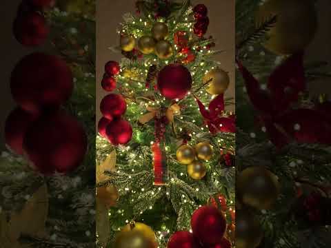 Yolkamızı qurduq #christmas #christmastree #christmastreedecoration #christmastrees #yolka