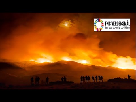 Regnskoven brænder.. Sluk den!