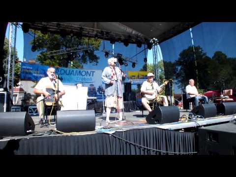 Ivan Mladek - Vcera vecer u sila [live @ Jindrichuv Hradec, 2015]