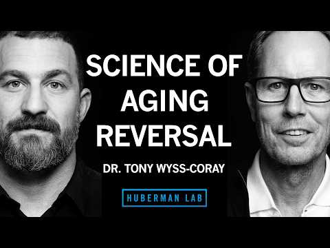 Restore Youthfulness & Vitality to the Aging Brain & Body | Dr. Tony Wyss-Coray