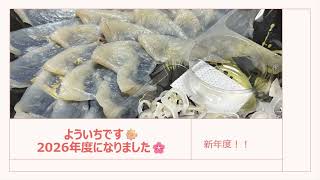 よういちです、2026年度になりました！！