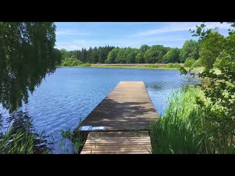 GALTSJÖN - 190618 - Ronneby (Bräkne-Hoby) - iPhone SE (BLEKINGE)