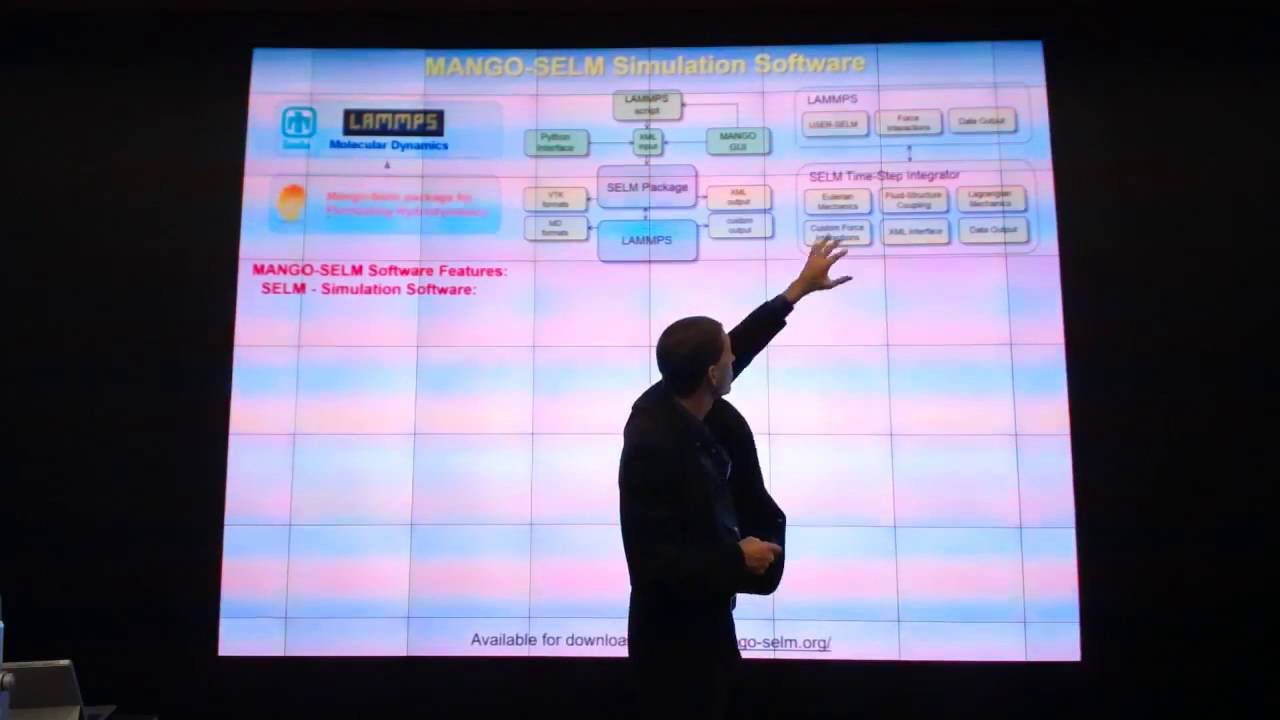 Fluctuating Hydrodynamic Approaches for Mesoscopic Modeling and Simulation