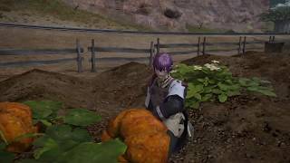 ［実況］MMO&amp;実況初心者が送るFF14 #14［カボチャ畑より愛をこめて］