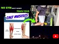 How to Train your CALVES ll Without any equipment ll Mahesh Negi