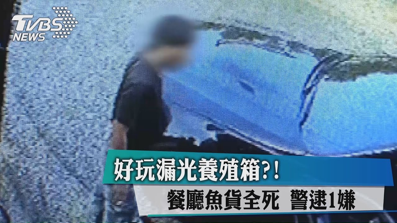 好玩漏光養殖箱?餐廳魚貨全死 警逮1嫌