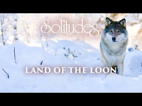 Dan Gibson’s Solitudes - Wild Symphony | Land of the Loon