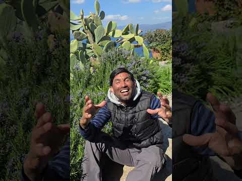 Σήμερα έμαθα  μια πληροφορία από το Κατάρ για ενα 