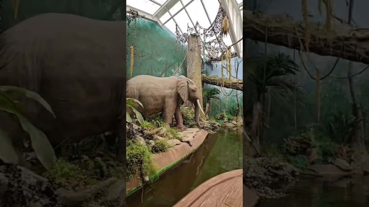 YouTube Short thumbnail