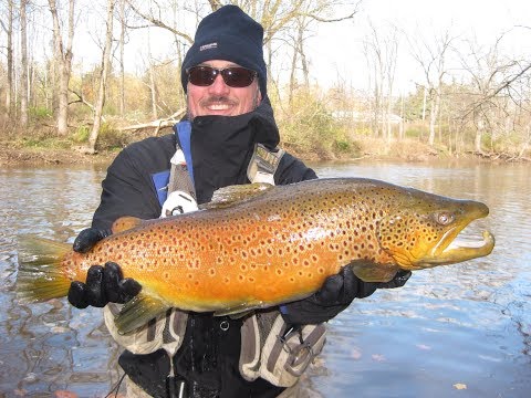 New York's WORLD CLASS Browns