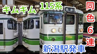 【キムキム】115系N35+N33編成　新潟駅発車