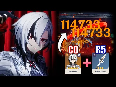 110k Per Hit?! C0 F2P Arlecchino is ABSURDLY BROKEN! | Full Guide & Team Showcase - Genshin Impact