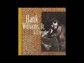 Montana Song by Hank Williams Jr  from his album Hank Williams Jr  and Friends
