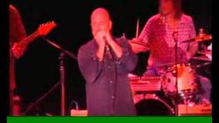 Nick Curran Fabulous Thunderbirds - Shot Down -