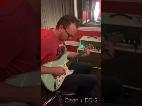 Hook wizard met Haar Guitars strat