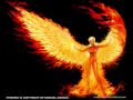 ANNIHILATOR PHOENIX RISING 