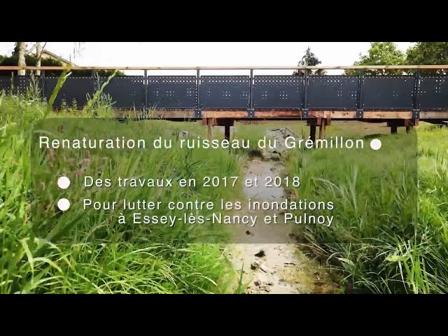 Lire la vidéo