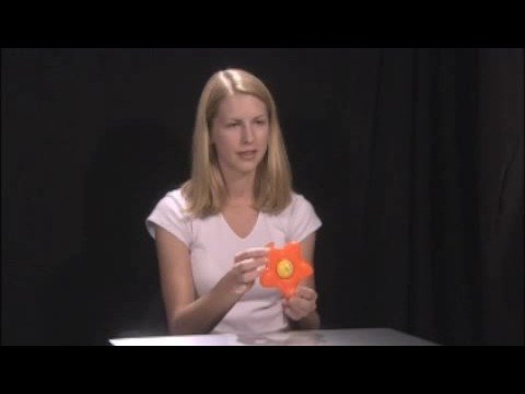 The Baby Human - Werker - Ba/Da Study