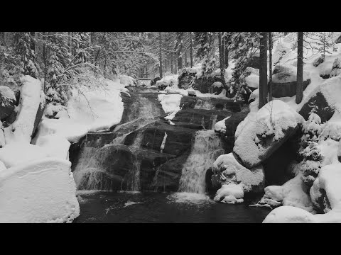 RAVN - ISELV  (Music Video)
