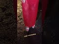 Huma Qureshi Sassy Look In Shimmery Thigh High Slit Humaqureshi Reels Vairal Vairalshort