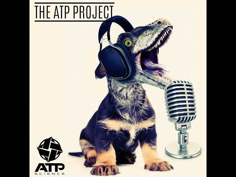 Running - Is It Worth The Risk? | The ATP Project 456