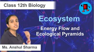 CBSE Class 12 Biology Ecosystem Energy Flow and Ecological Pyramids |Extraminds