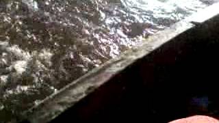 preview picture of video 'Pescando uma arraia em Vigia de Nazaré.'