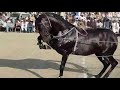 Horse Dance Mela Ghulam Shah Ludan 2018 Fakhar Abbas Maitla