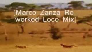 Flo-Rida Ft T-Pain - LOW - [Marco Zanza Re-Worked Loco Mix]