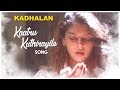 AR Rahman Tamil Hits | Kaatru Kuthirayile Video Song | Kadhalan Movie Songs | Prabhudeva | Nagma