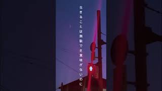 【しにきれない女の子の曲】こんな歌はすき? #おすすめ #歌詞動画