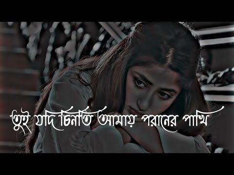 Tui Jodi Chinti Amay Poraner Pakhi (Slowed x Reverb) তুই যদি চিনতি আমায় পরানের পাখি | #sadlofisong