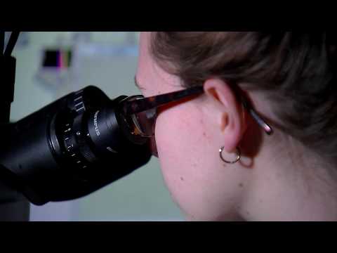 How can we prevent stillbirths? We meet Professor Alex Heazell - 5 News