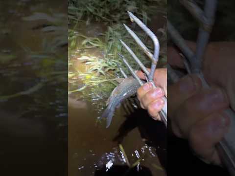 Mariscada com zangaia de madrugada #pescaria