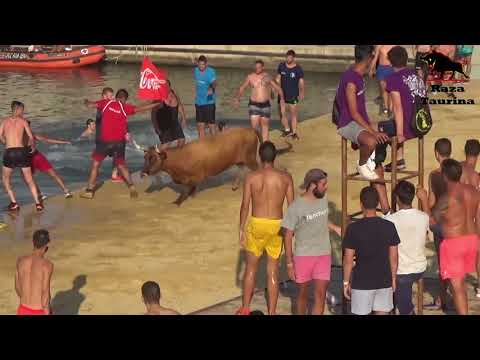 Bous a la mar. Ganadería Benavent. Dénia. 10 Julio 2018