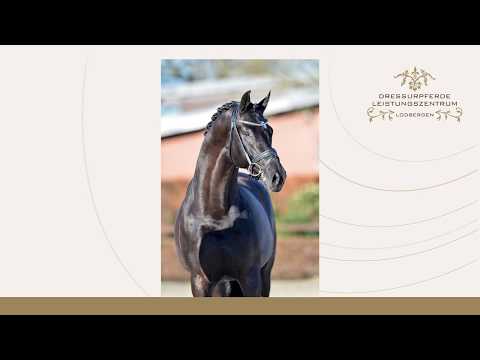 Finest Selection OLD 2018 (engl)