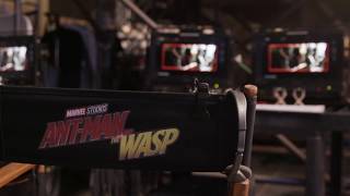 Ant-Man and the Wasp (2018) Video