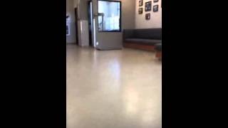 (Periscope replay) Lily gets discharged from the hospital (7-04-15)