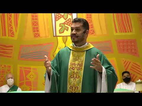 Homilia do 11º Domingo do Tempo Comum -  (Marcos 4:26-34)  Ano B - dia 13 06 2021