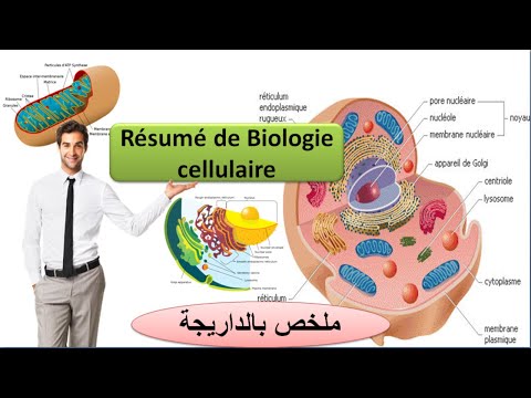 Résumé de biologie cellulaire (ملخص بالداريجة)