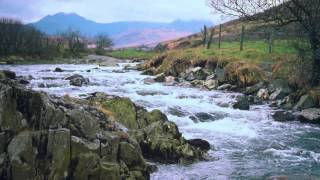 Collabro's Somewhere