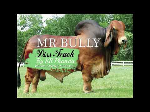 Brailo Mr bully Diss Track ( By Kr Phanda)