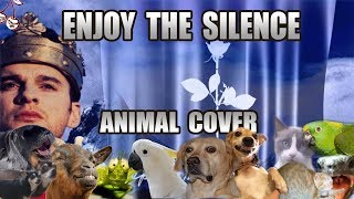 Depeche Mode - Enjoy The Silence (Animal Cover)