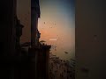 Dekha Zamana Sara Bharam Hai Tere Hawale Aesthetic Status ️ Whatsapp Status Shorts
