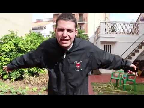 PIKERAS 110 - ES ORO (Video Oneshot)