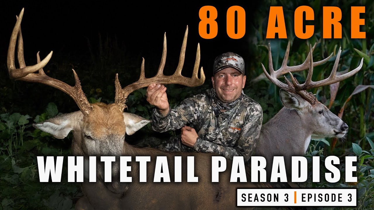 S3E3 80 Acre Whitetail Paradise