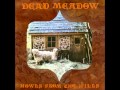 Dead Meadow - Everything's Goin' On